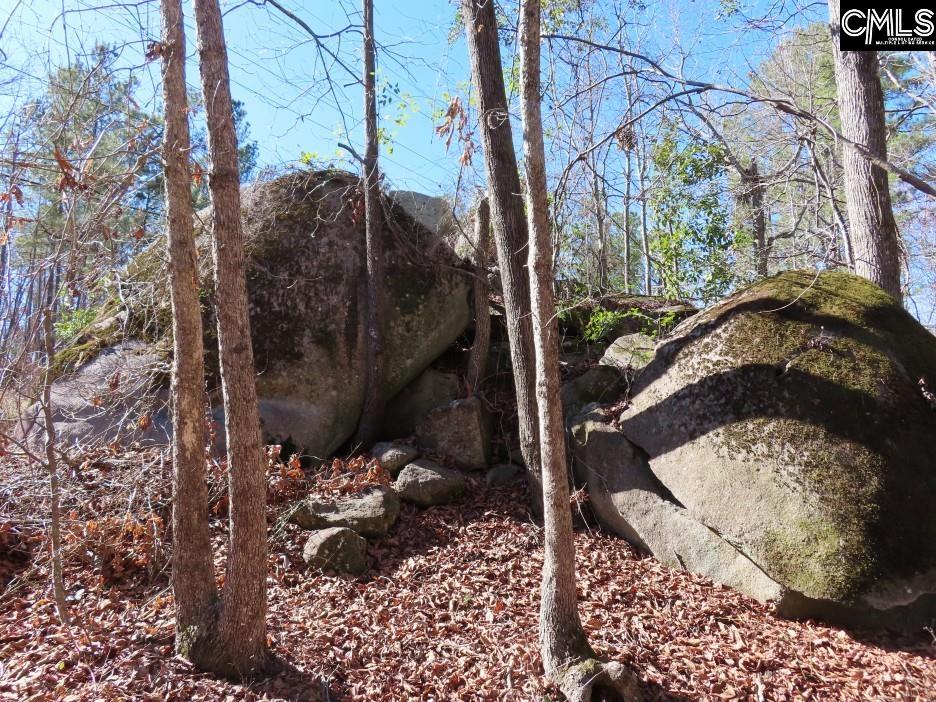 Rion Road Winnsboro, SC 29180