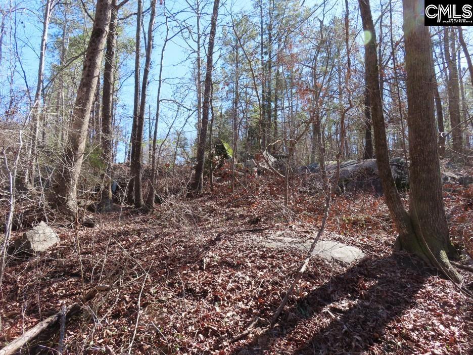 Rion Road Winnsboro, SC 29180