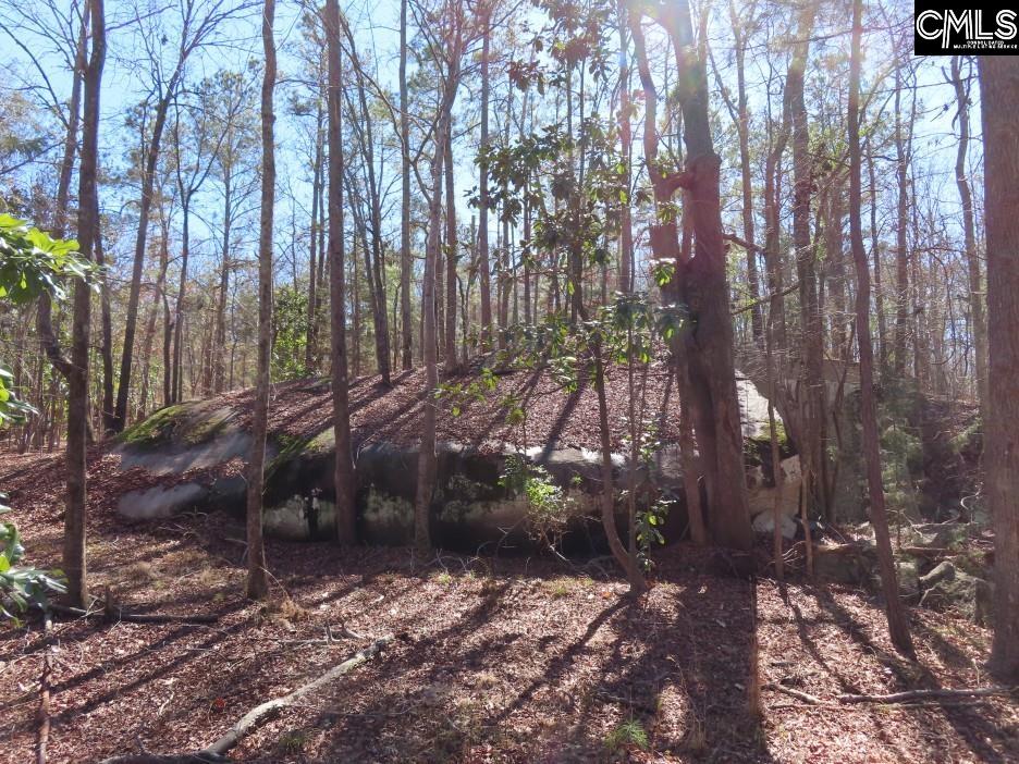 Rion Road Winnsboro, SC 29180
