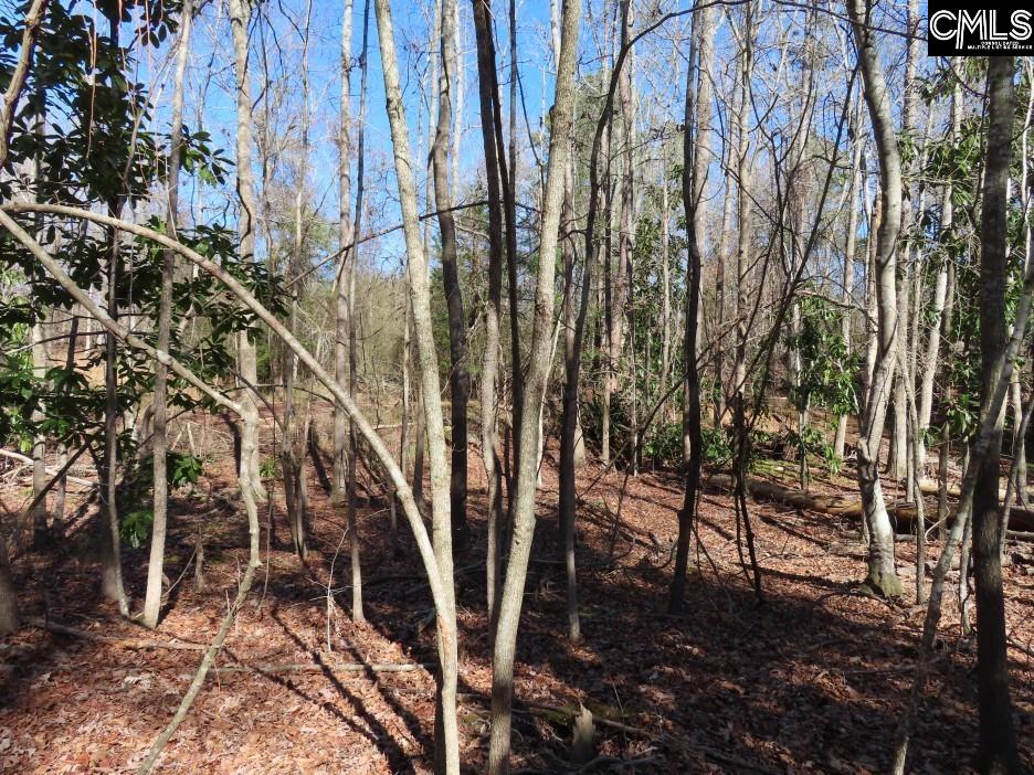 Rion Road Winnsboro, SC 29180