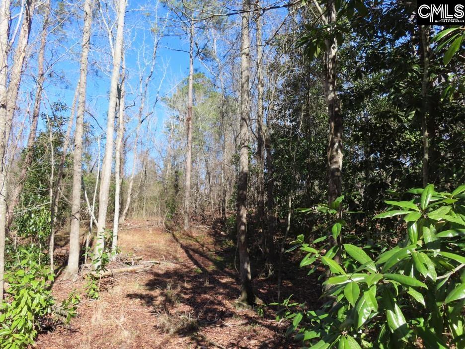 Rion Road Winnsboro, SC 29180