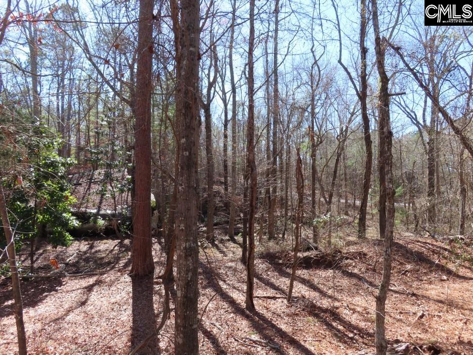 Rion Road Winnsboro, SC 29180