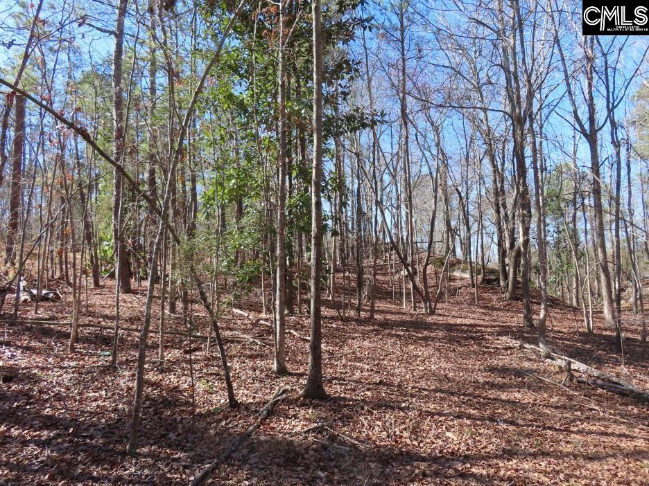 Rion Road Winnsboro, SC 29180