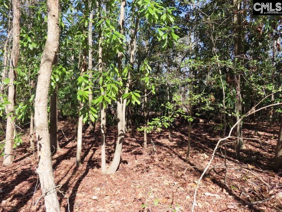 Rion Road Winnsboro, SC 29180