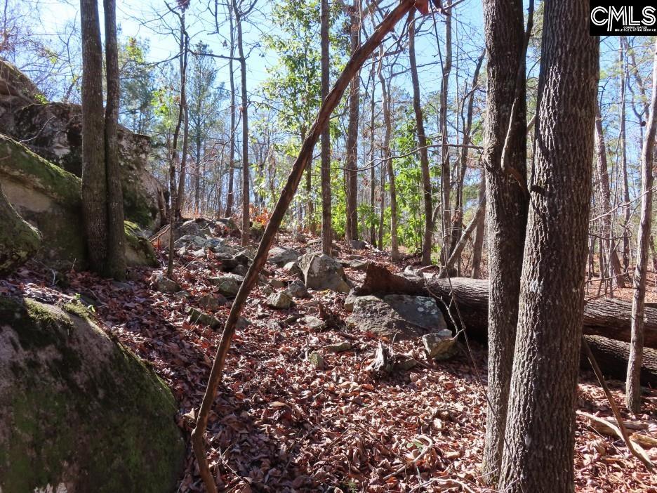 Rion Road Winnsboro, SC 29180