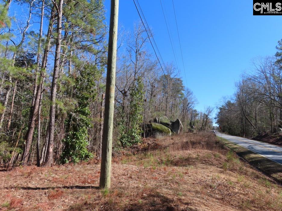 Rion Road Winnsboro, SC 29180