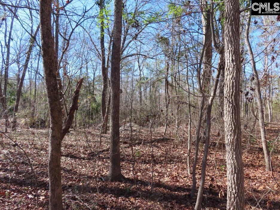 Rion Road Winnsboro, SC 29180