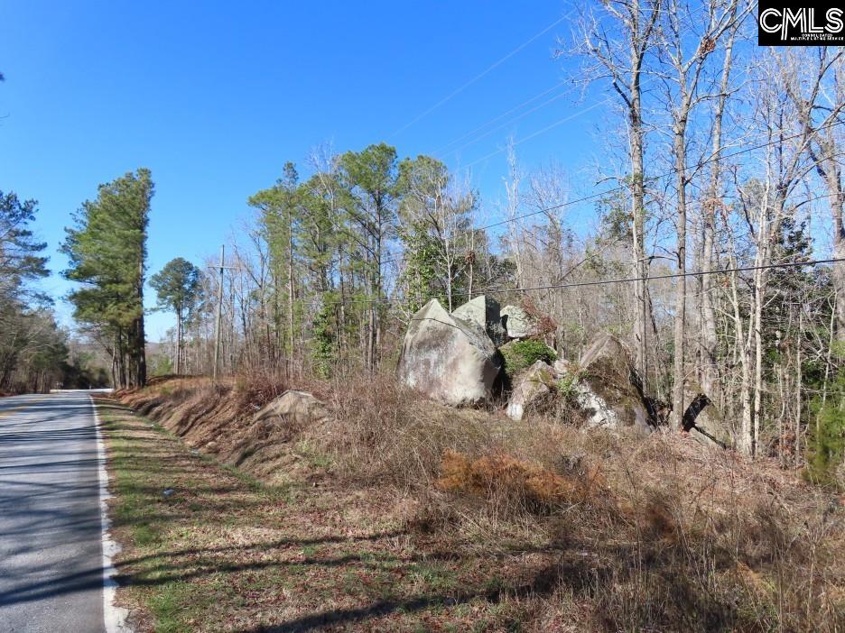 Rion Road Winnsboro, SC 29180