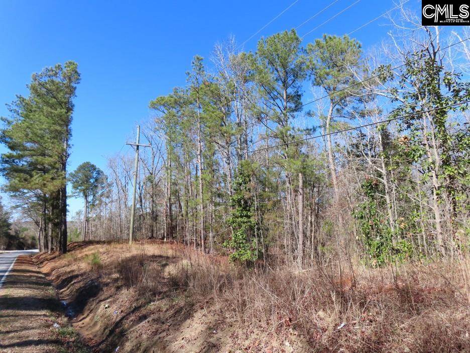 Rion Road Winnsboro, SC 29180