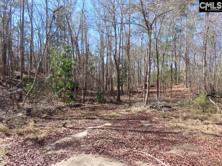 Rion Road Winnsboro, SC 29180
