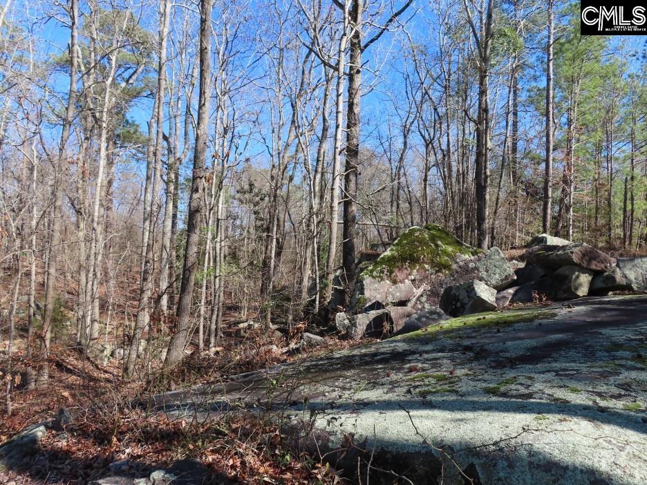 Rion Road Winnsboro, SC 29180