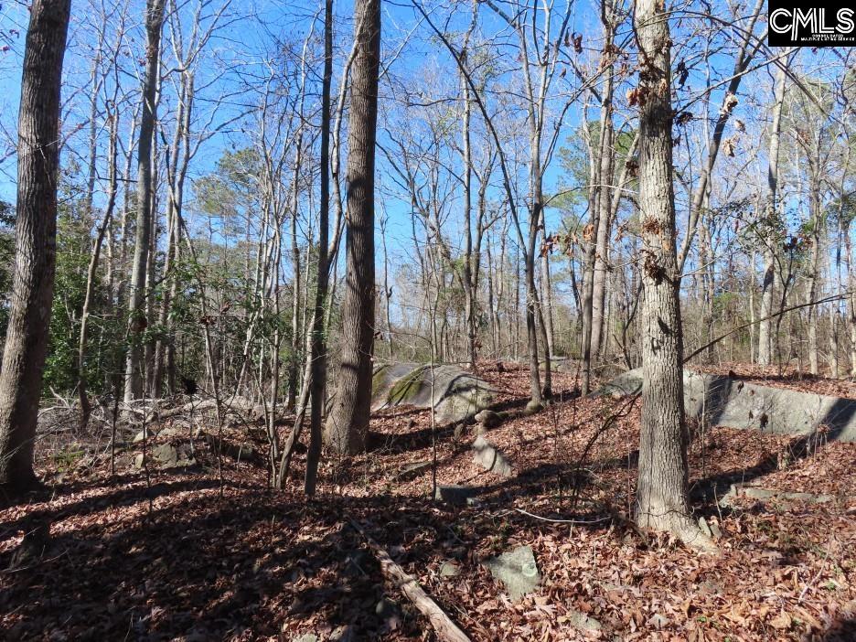 Rion Road Winnsboro, SC 29180