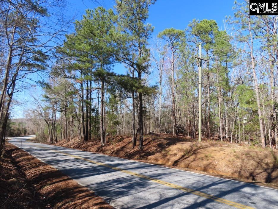 Rion Road Winnsboro, SC 29180