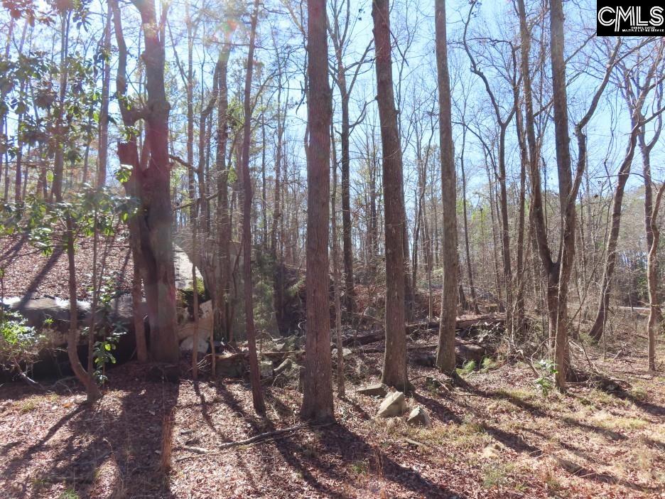 Rion Road Winnsboro, SC 29180