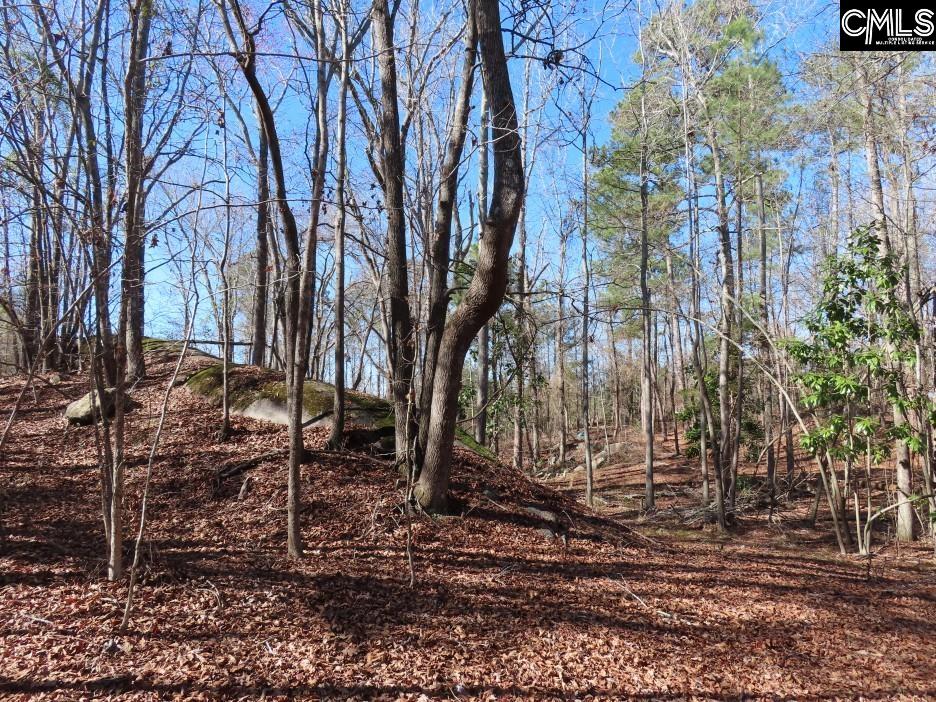Rion Road Winnsboro, SC 29180
