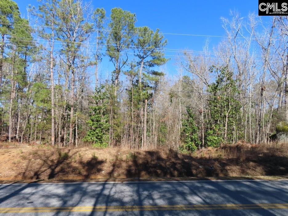 Rion Road Winnsboro, SC 29180