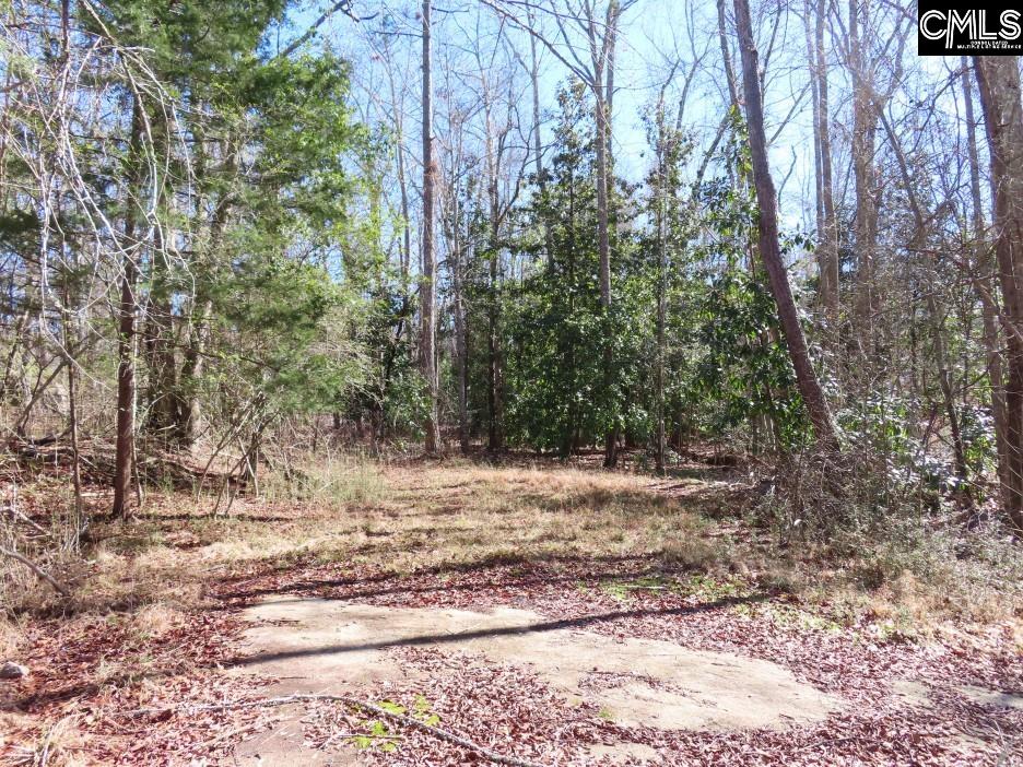 Rion Road Winnsboro, SC 29180