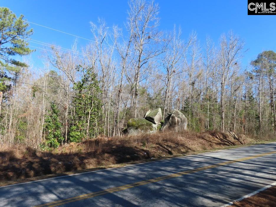 Rion Road Winnsboro, SC 29180