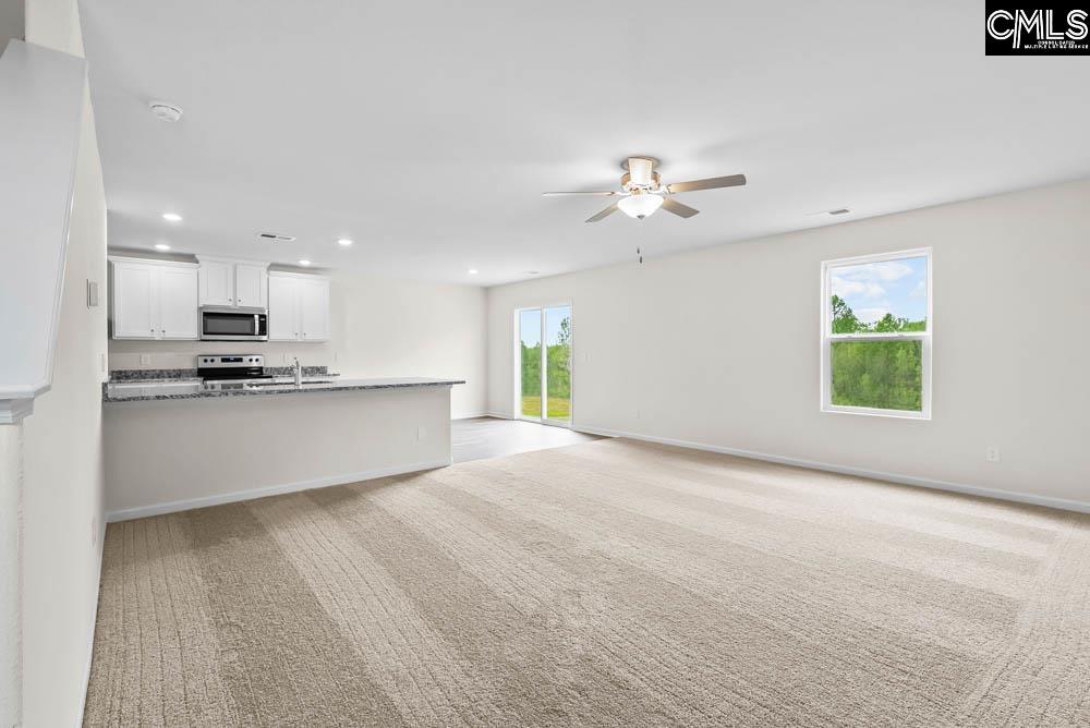 1023 Peaceful Fawn Drive Elgin, SC 29045