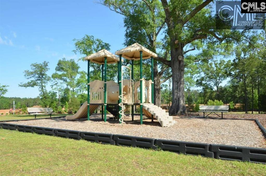 384 Explorer Drive Chapin, SC 29036