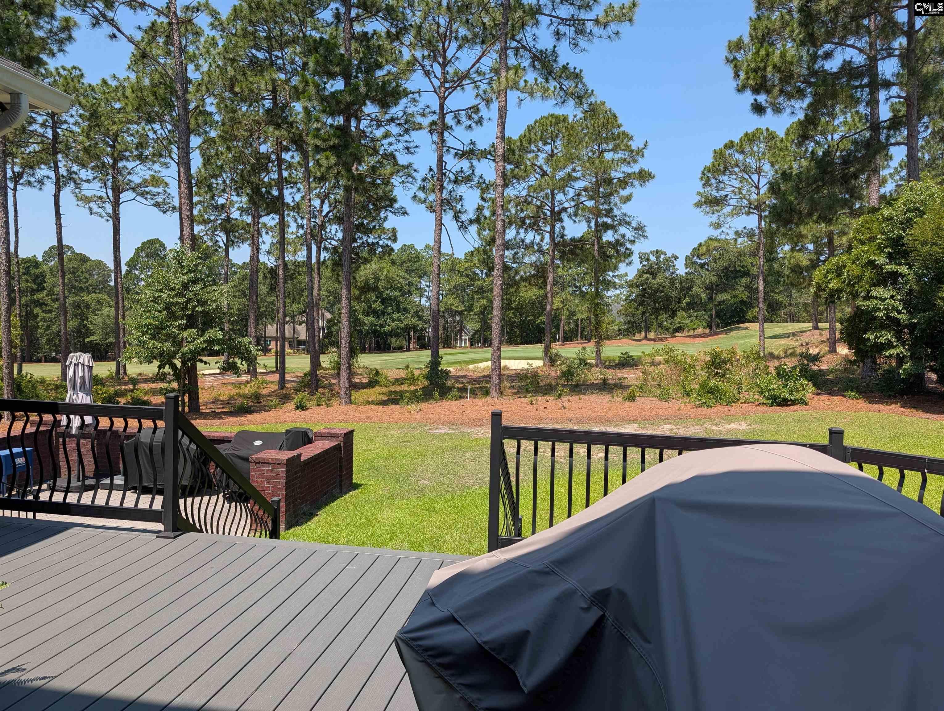 319 Bluestem Drive Elgin, SC 29045