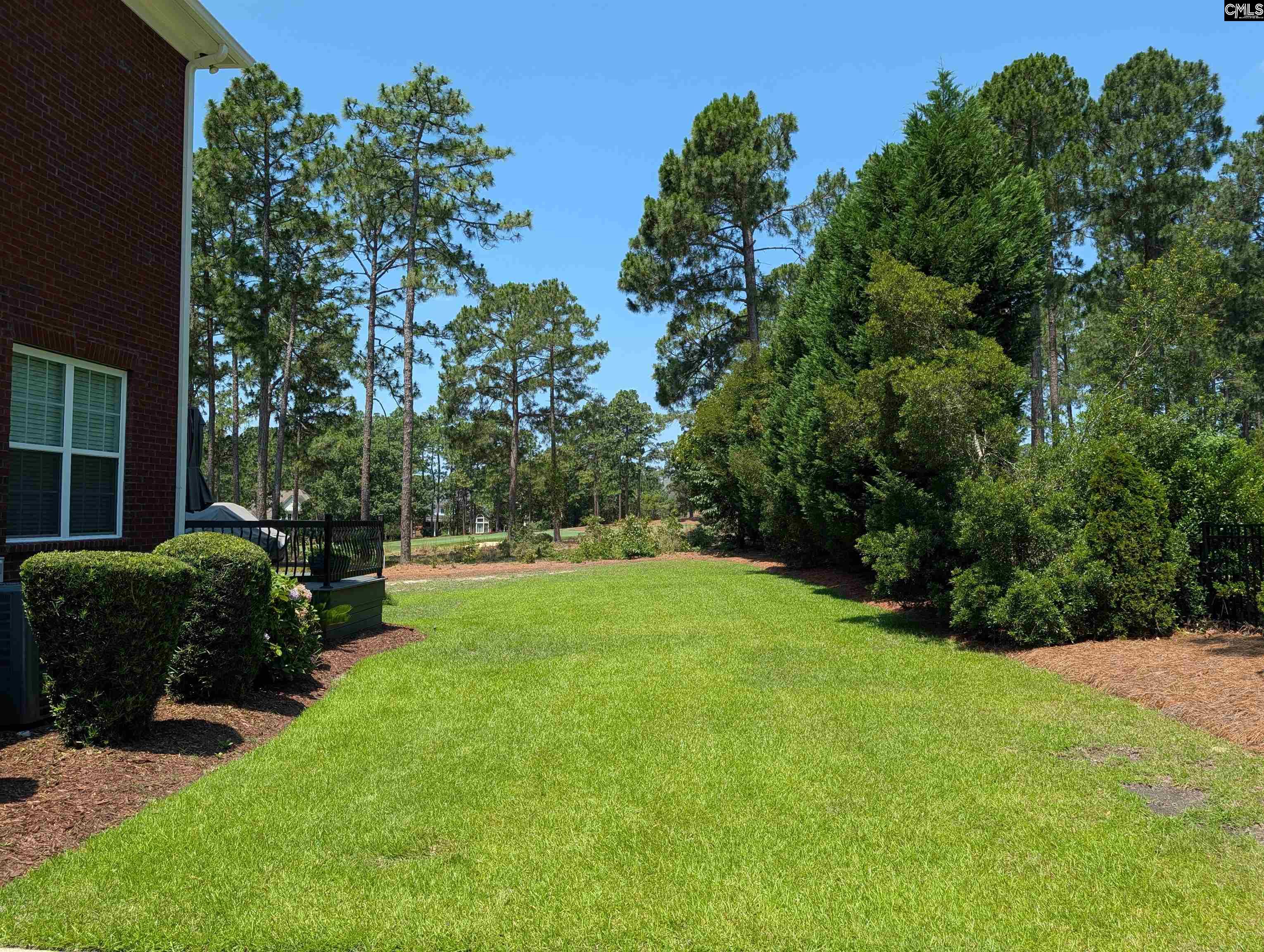 319 Bluestem Drive Elgin, SC 29045