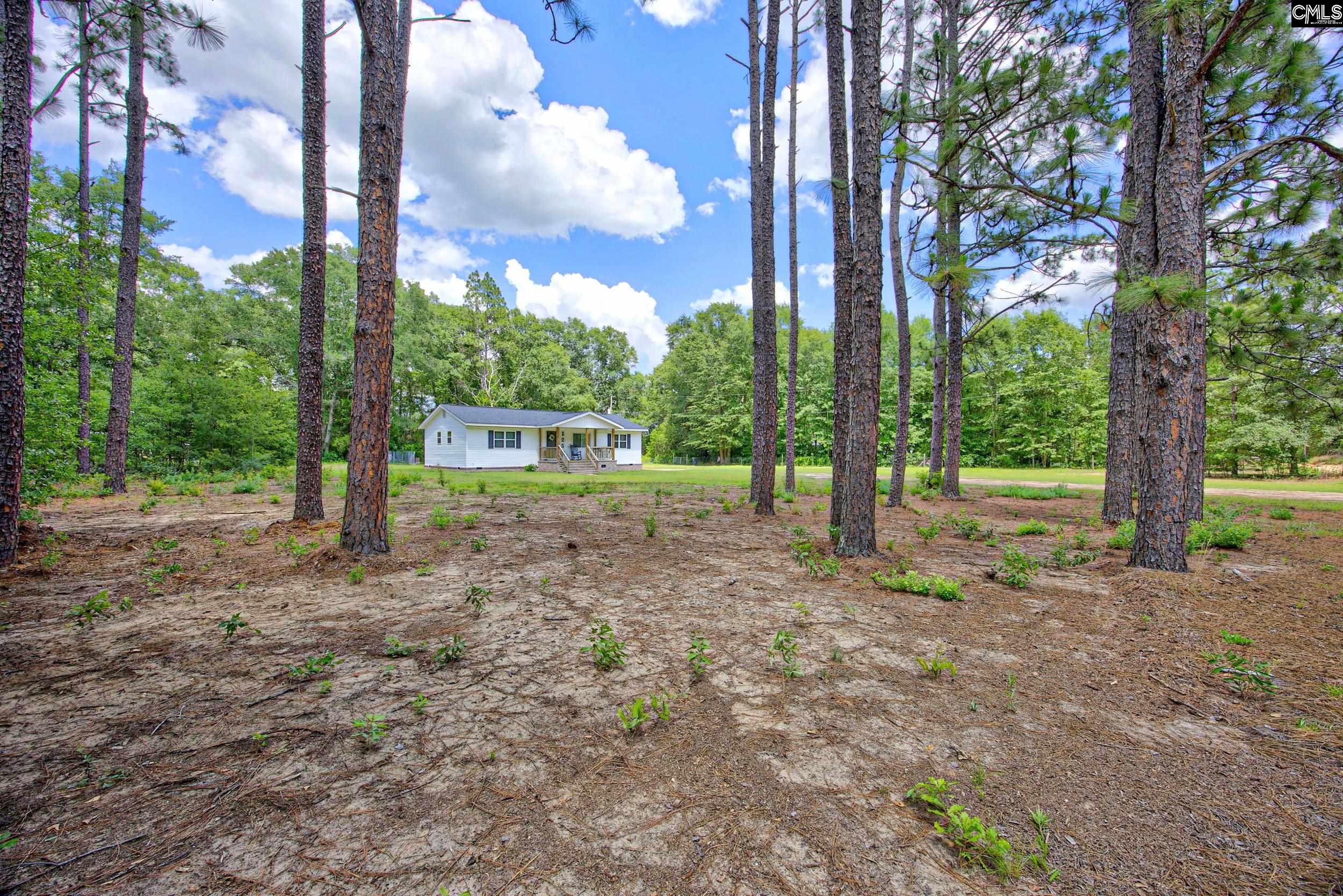 125 Patricia Avenue Pelion, SC 29123