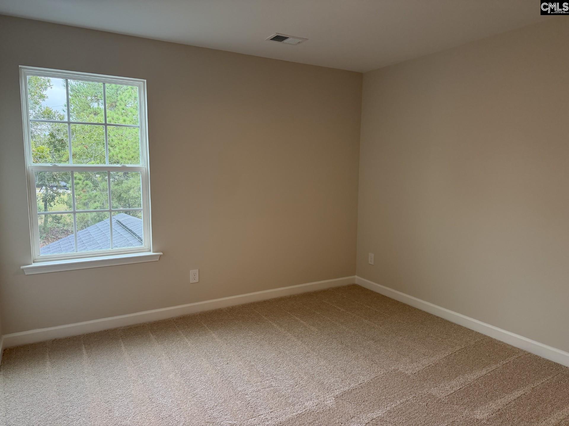 144 Cambria Lane, Blythewood — photo 15