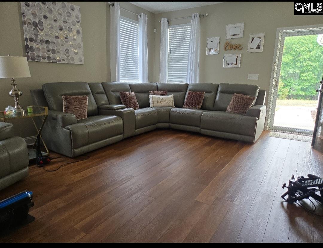 237 Wild Olive Drive Columbia, SC 29229