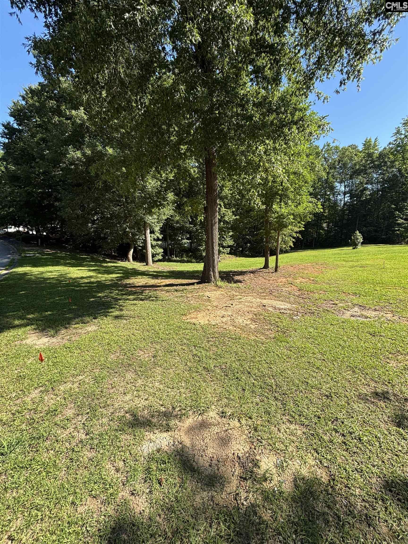 320 Oakhurst Place UNIT #8 Blythewood, SC 29016