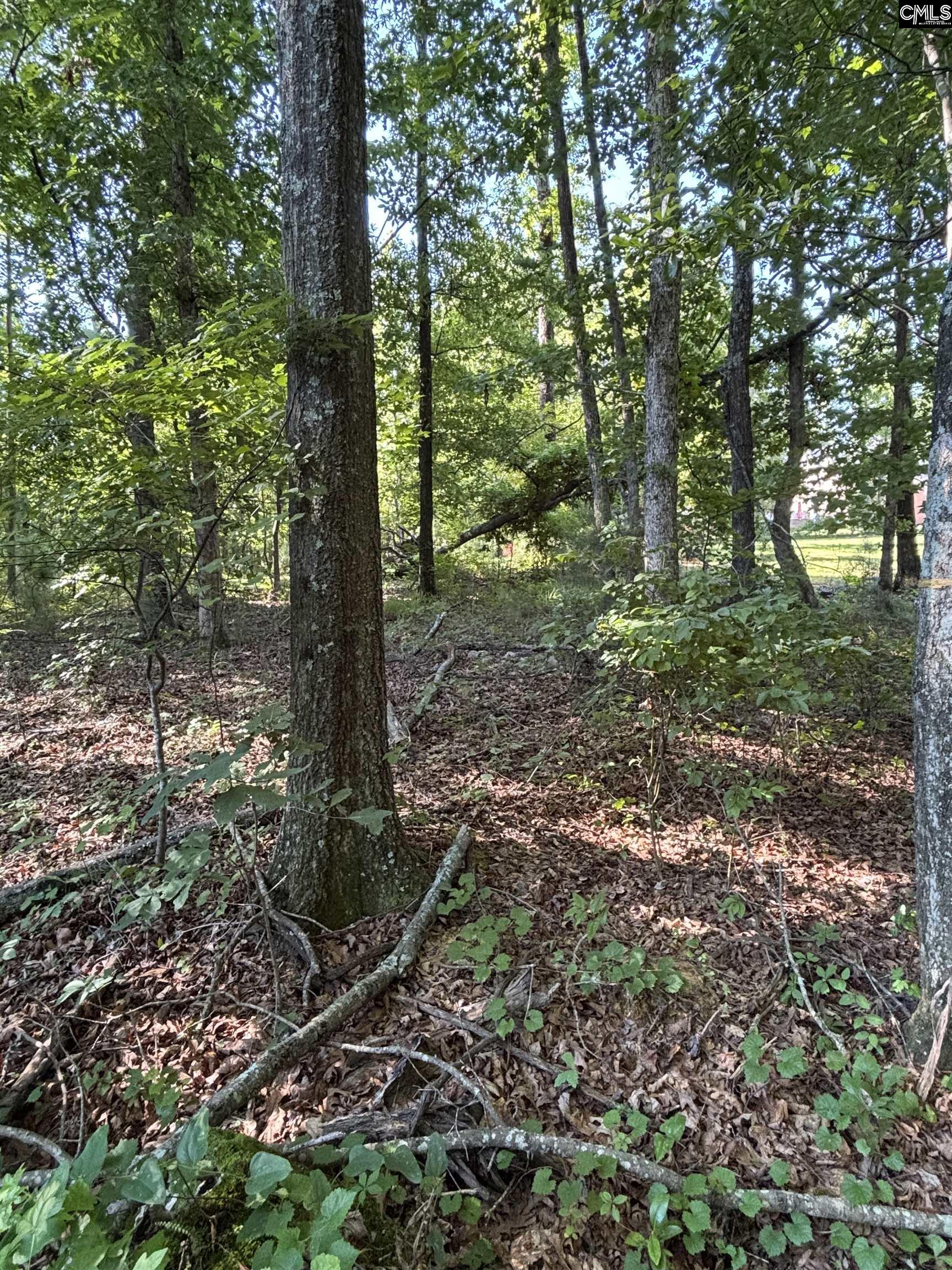 320 Oakhurst Place UNIT #8 Blythewood, SC 29016