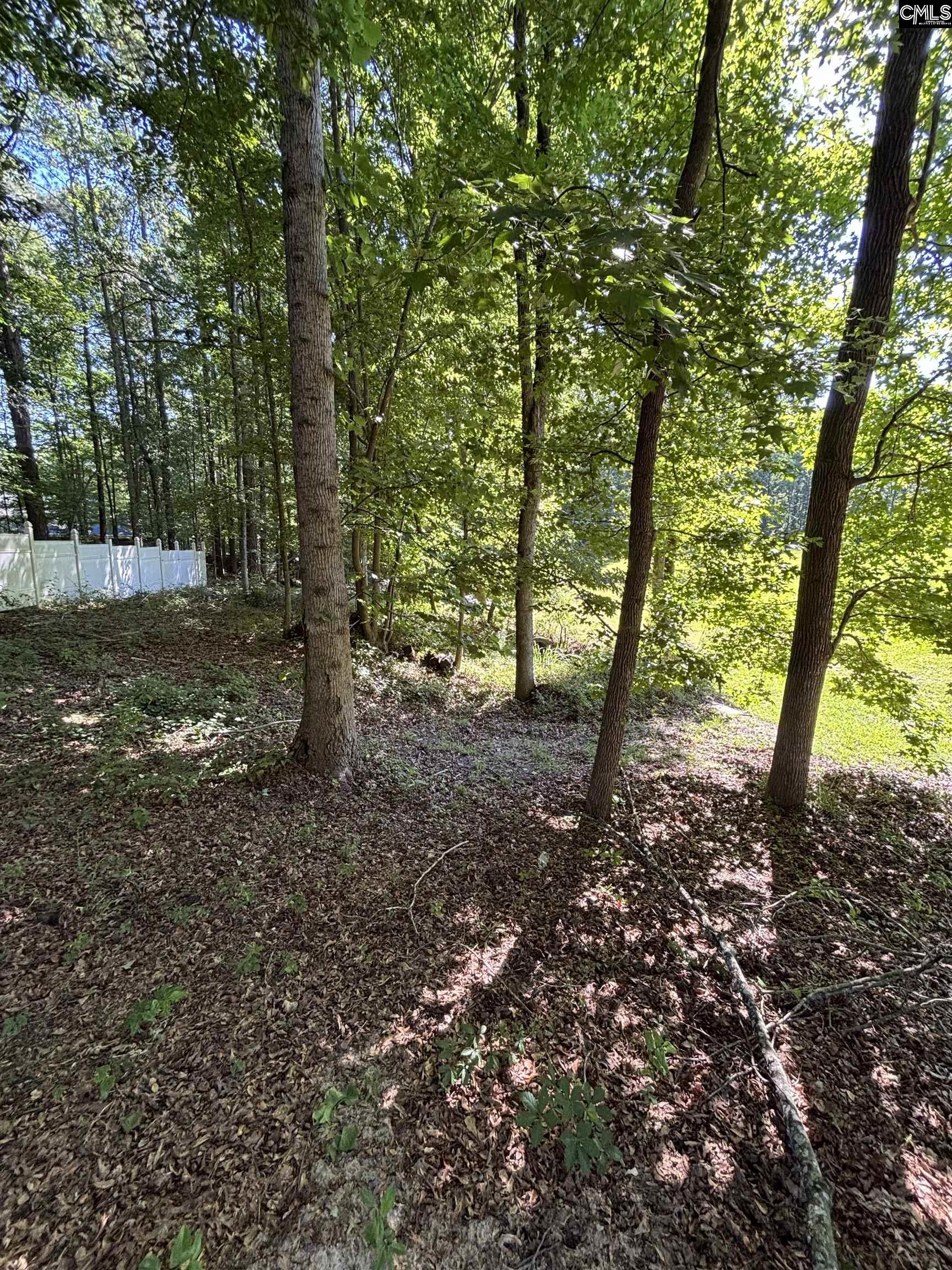 320 Oakhurst Place UNIT #8 Blythewood, SC 29016