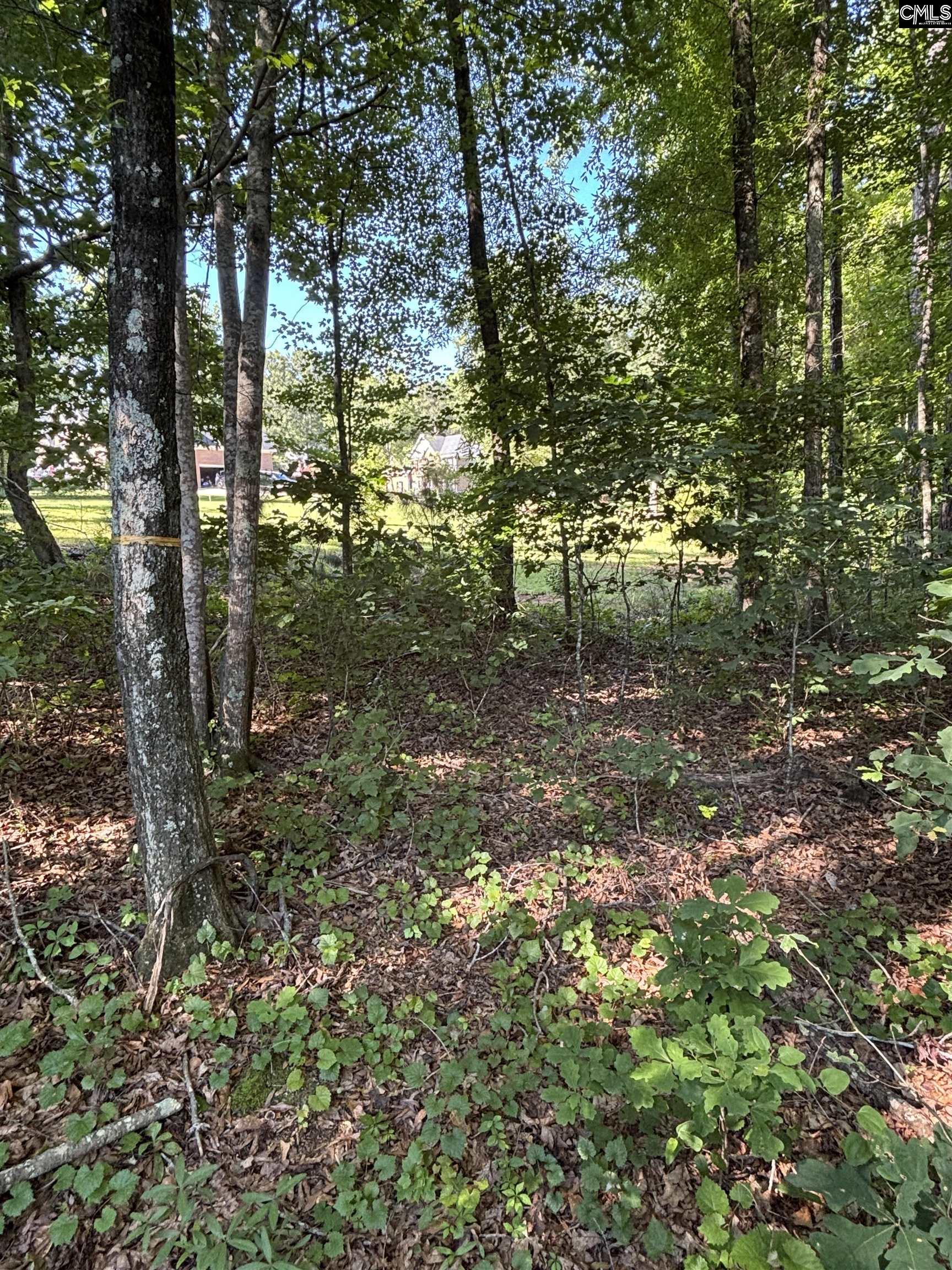 320 Oakhurst Place UNIT #8 Blythewood, SC 29016