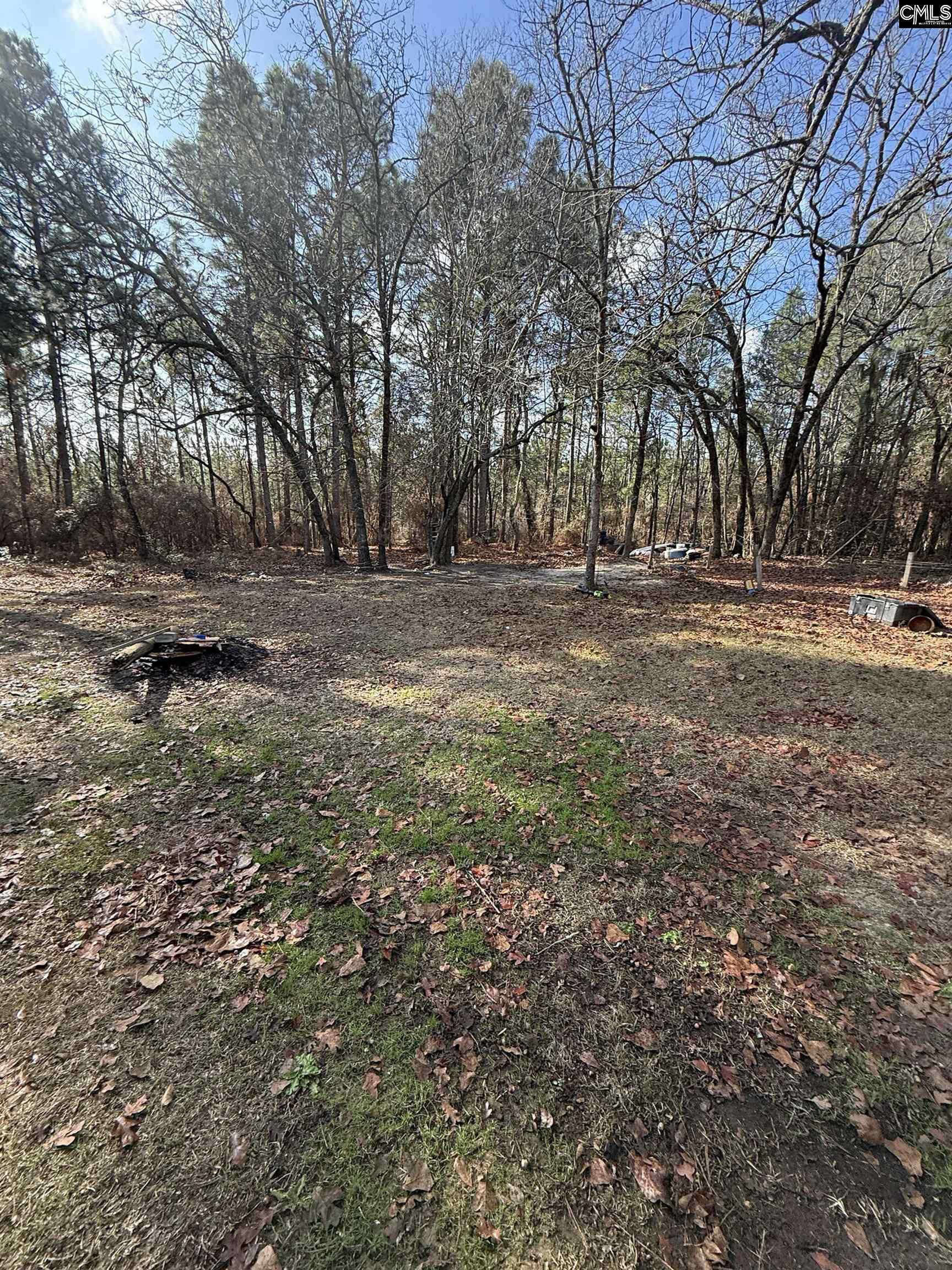 1225 Charles Town Road Leesville, SC 29070-9666