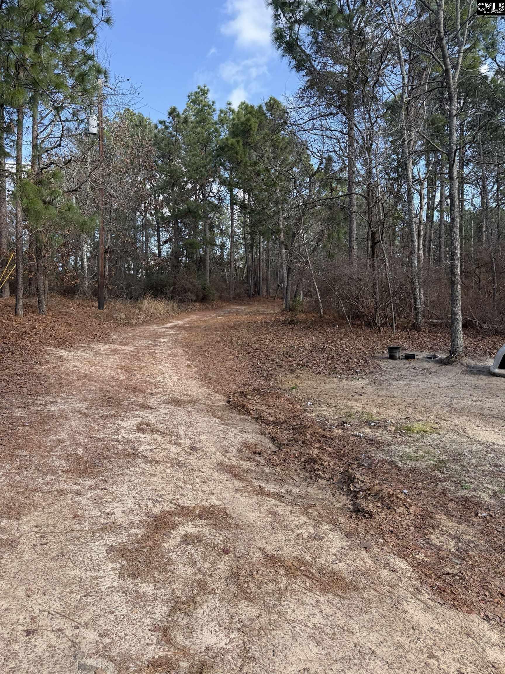 1225 Charles Town Road Leesville, SC 29070-9666