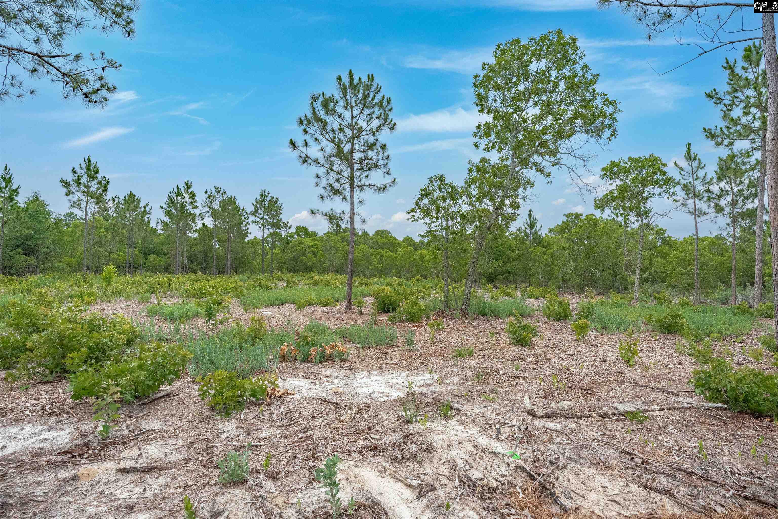656 Old Charleston Road Pelion, SC 29123