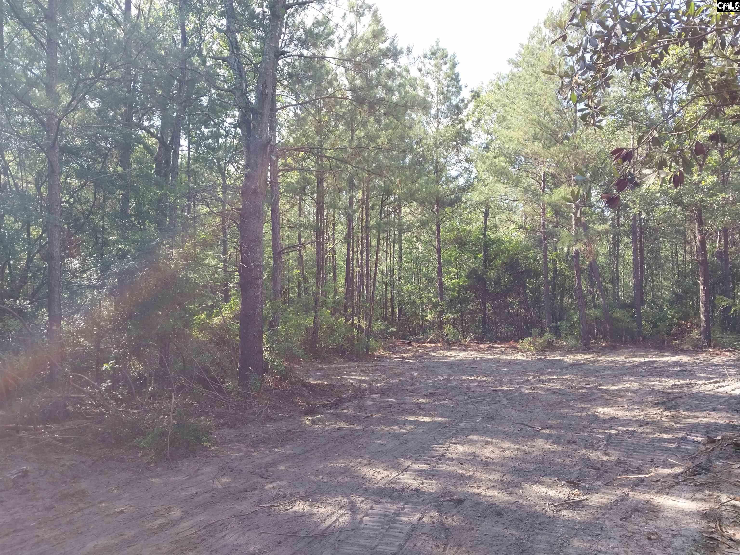 143 Tom Lucas Lane Pelion, SC 29123-123