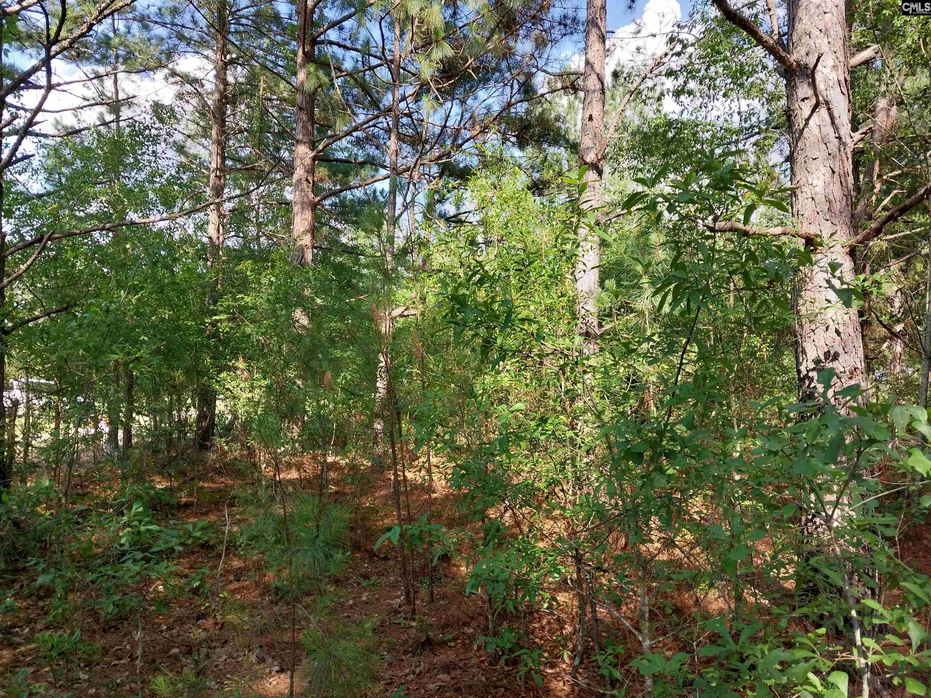 143 Tom Lucas Lane Pelion, SC 29123-123