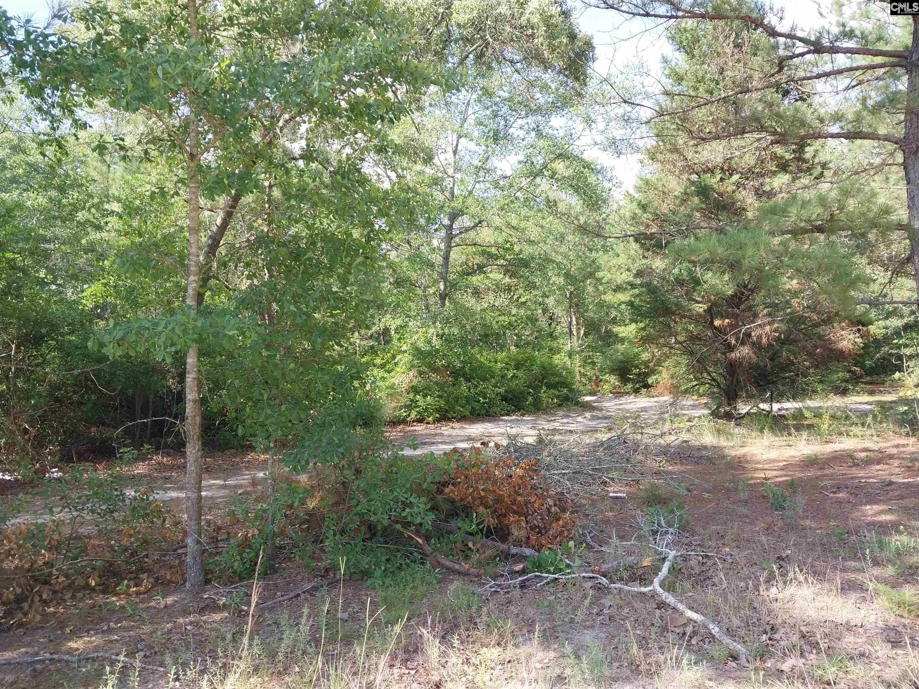 143 Tom Lucas Lane Pelion, SC 29123-123