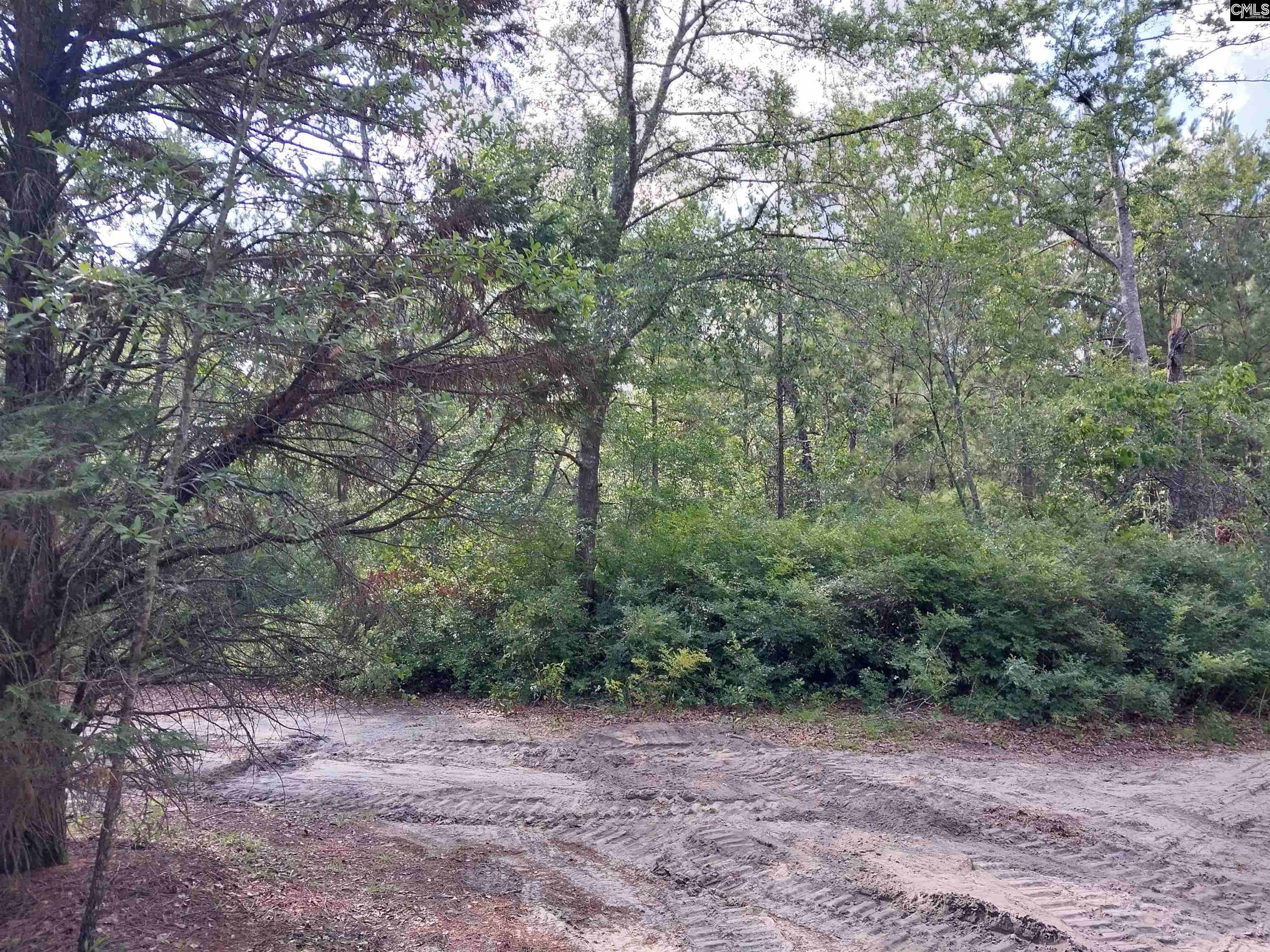 143 Tom Lucas Lane Pelion, SC 29123-123