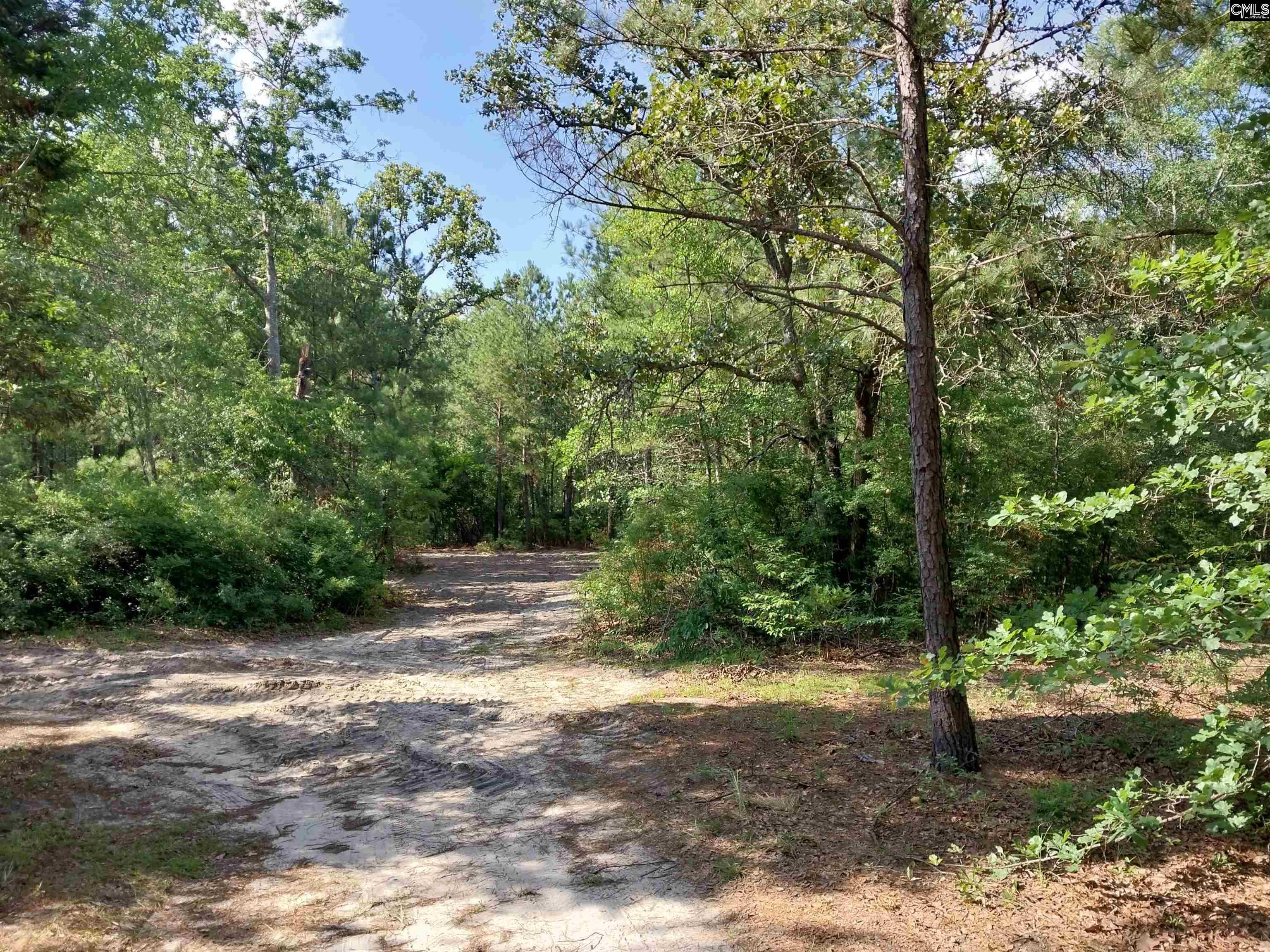 143 Tom Lucas Lane Pelion, SC 29123-123