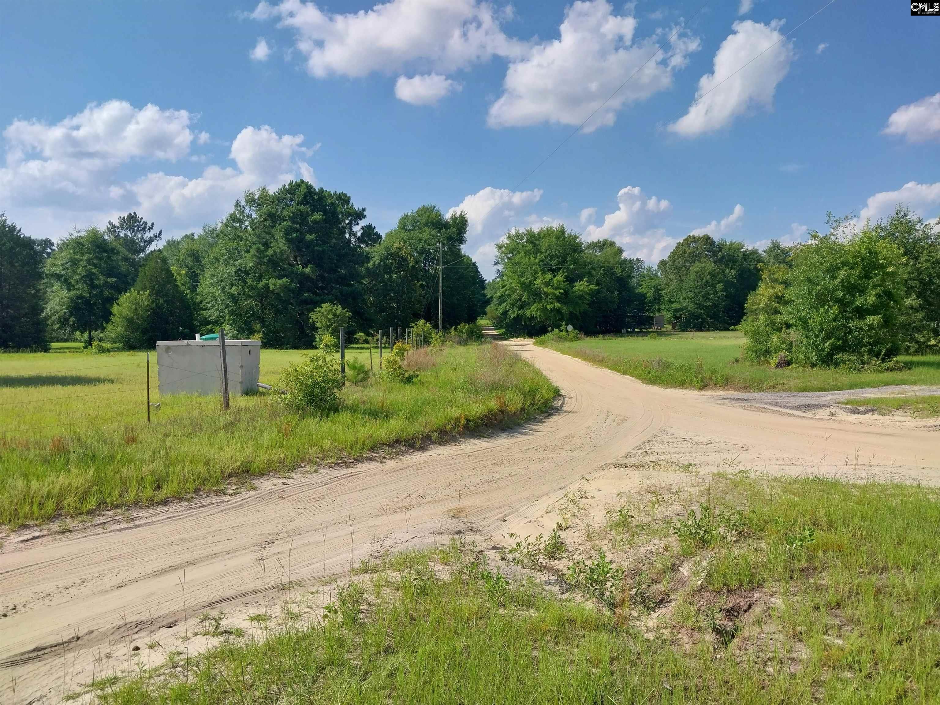 408 Sells Court Pelion, SC 29123-123