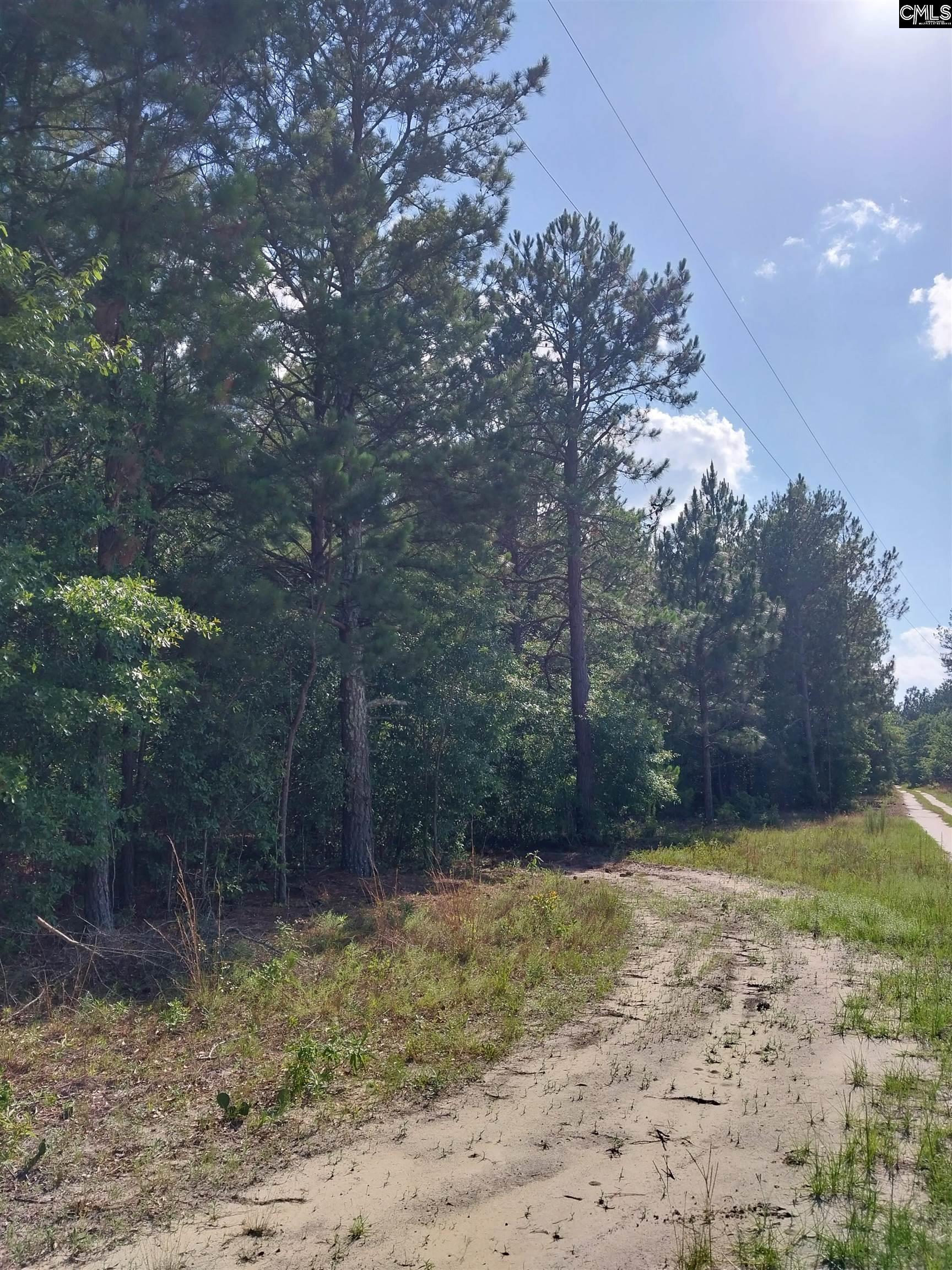 408 Sells Court Pelion, SC 29123-123