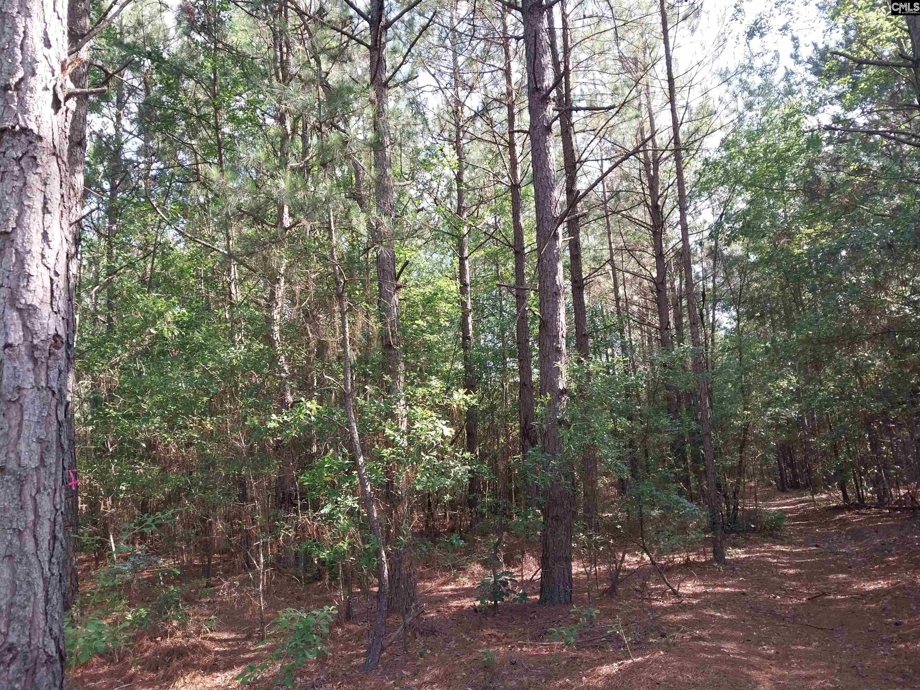 408 Sells Court Pelion, SC 29123-123