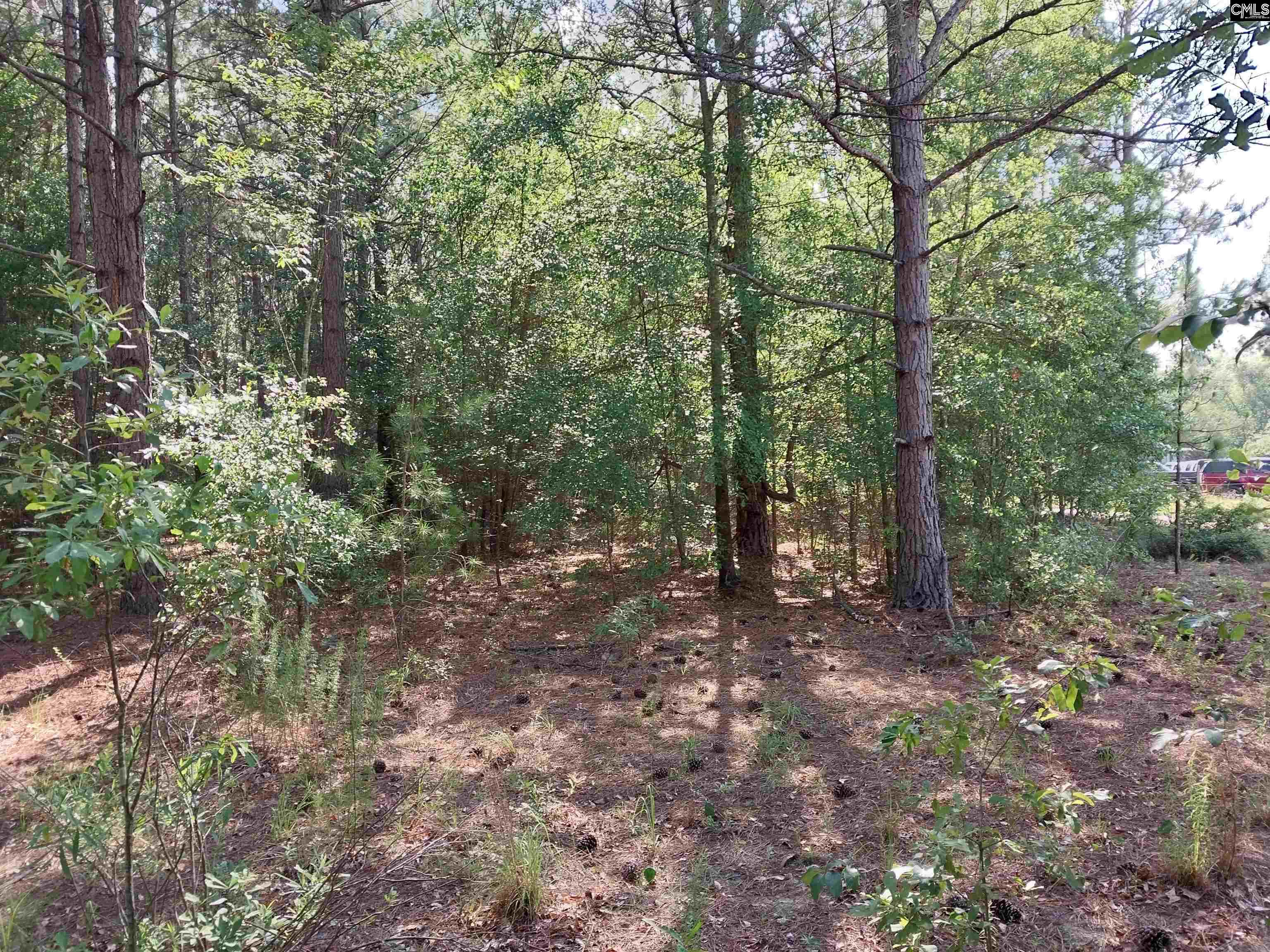 408 Sells Court Pelion, SC 29123-123