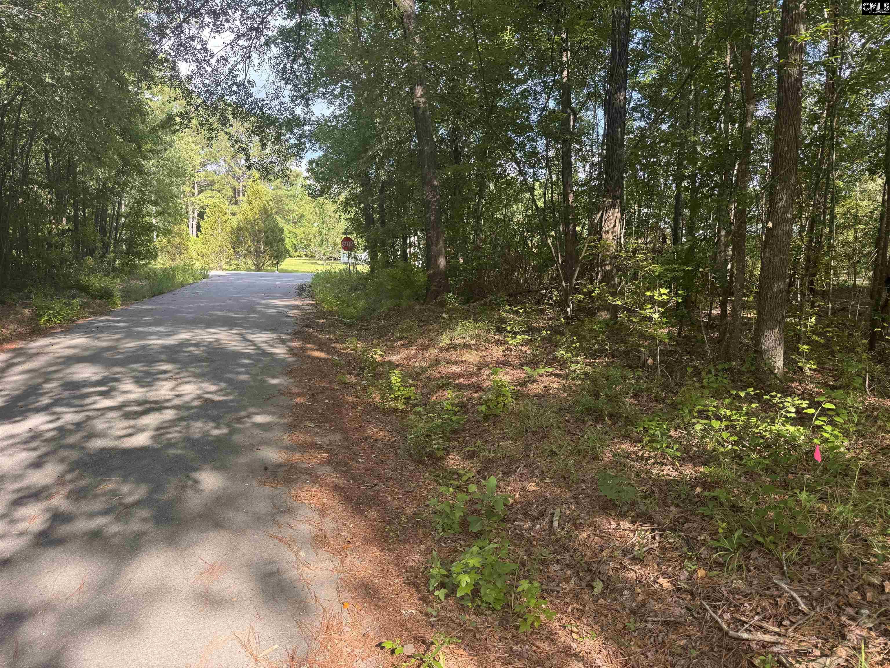 209 Ted Street Columbia, SC 29203