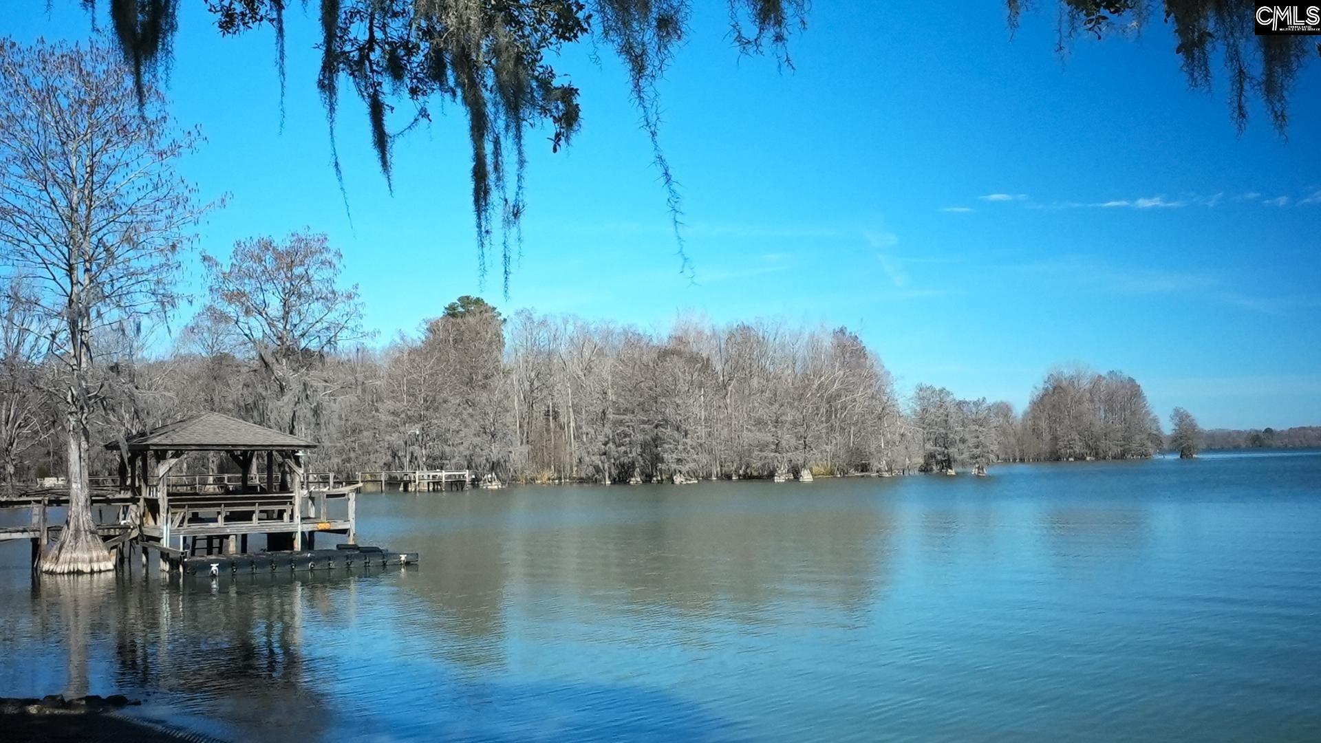 1187 Mulligan Drive Manning, SC 29102