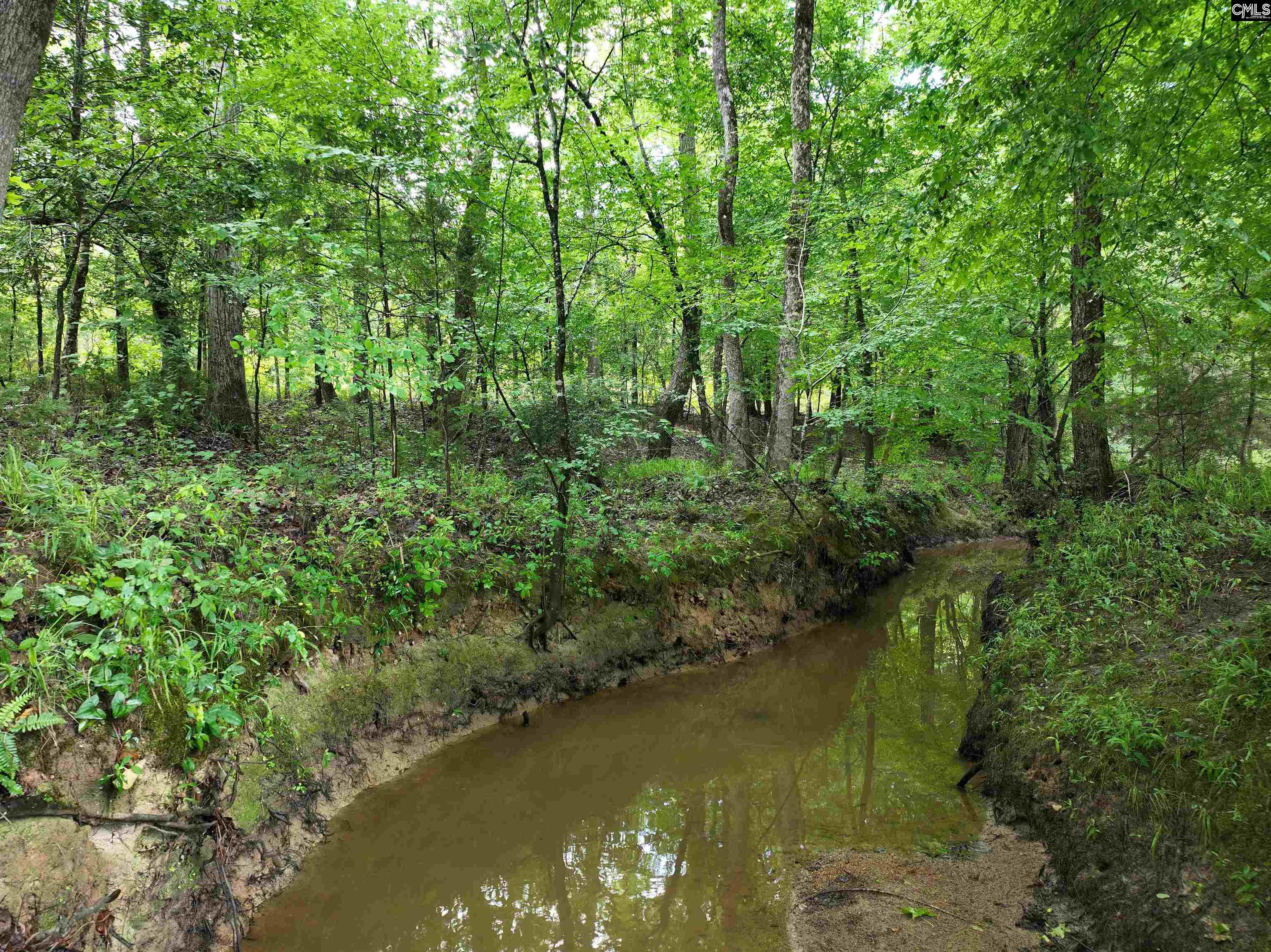 Rocky Branch Road Chapin, SC 29036