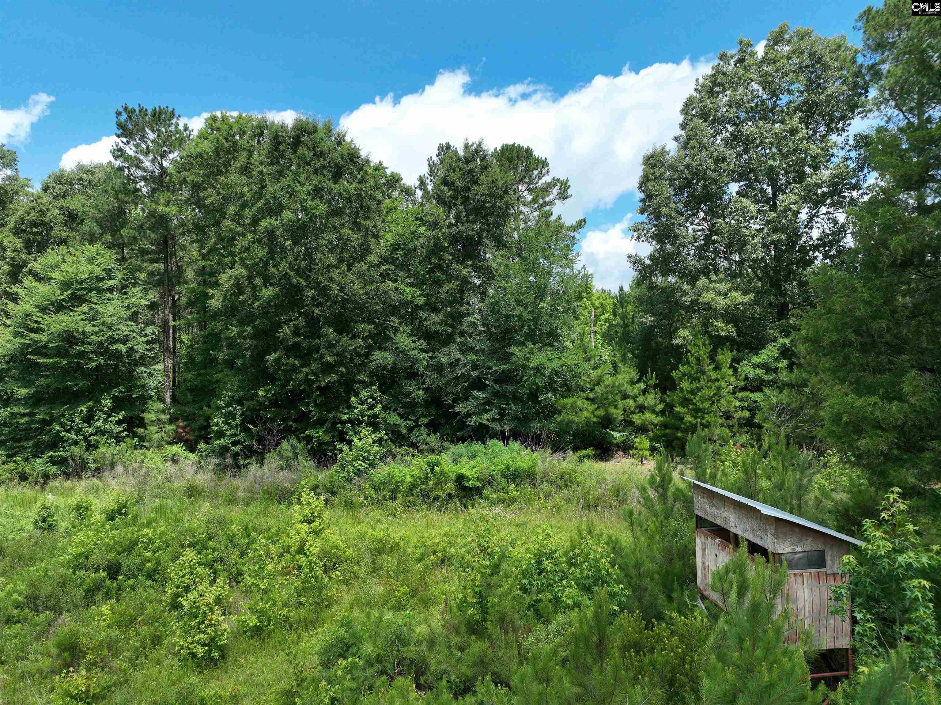 Rocky Branch Road Chapin, SC 29036