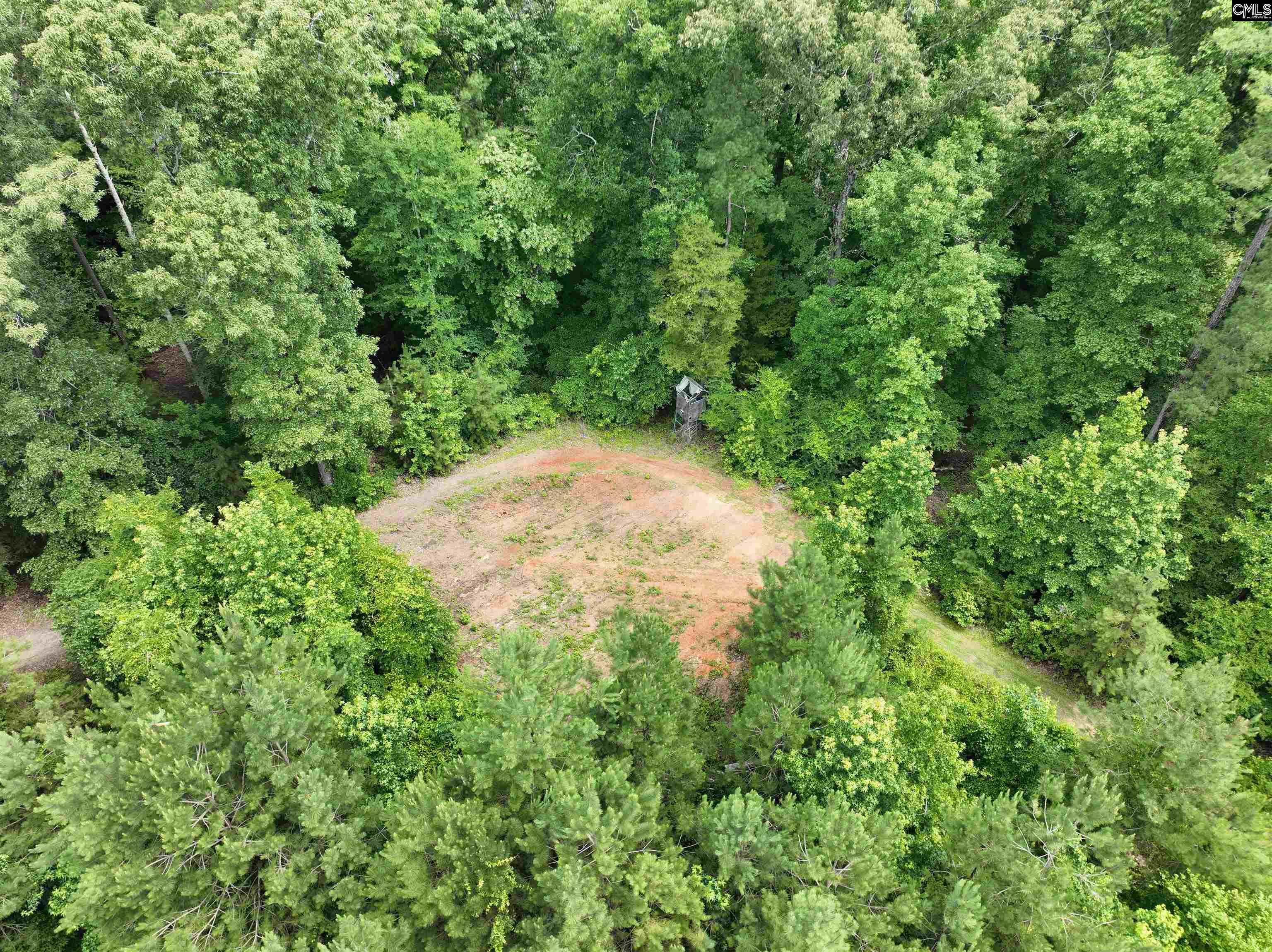Rocky Branch Road Chapin, SC 29036